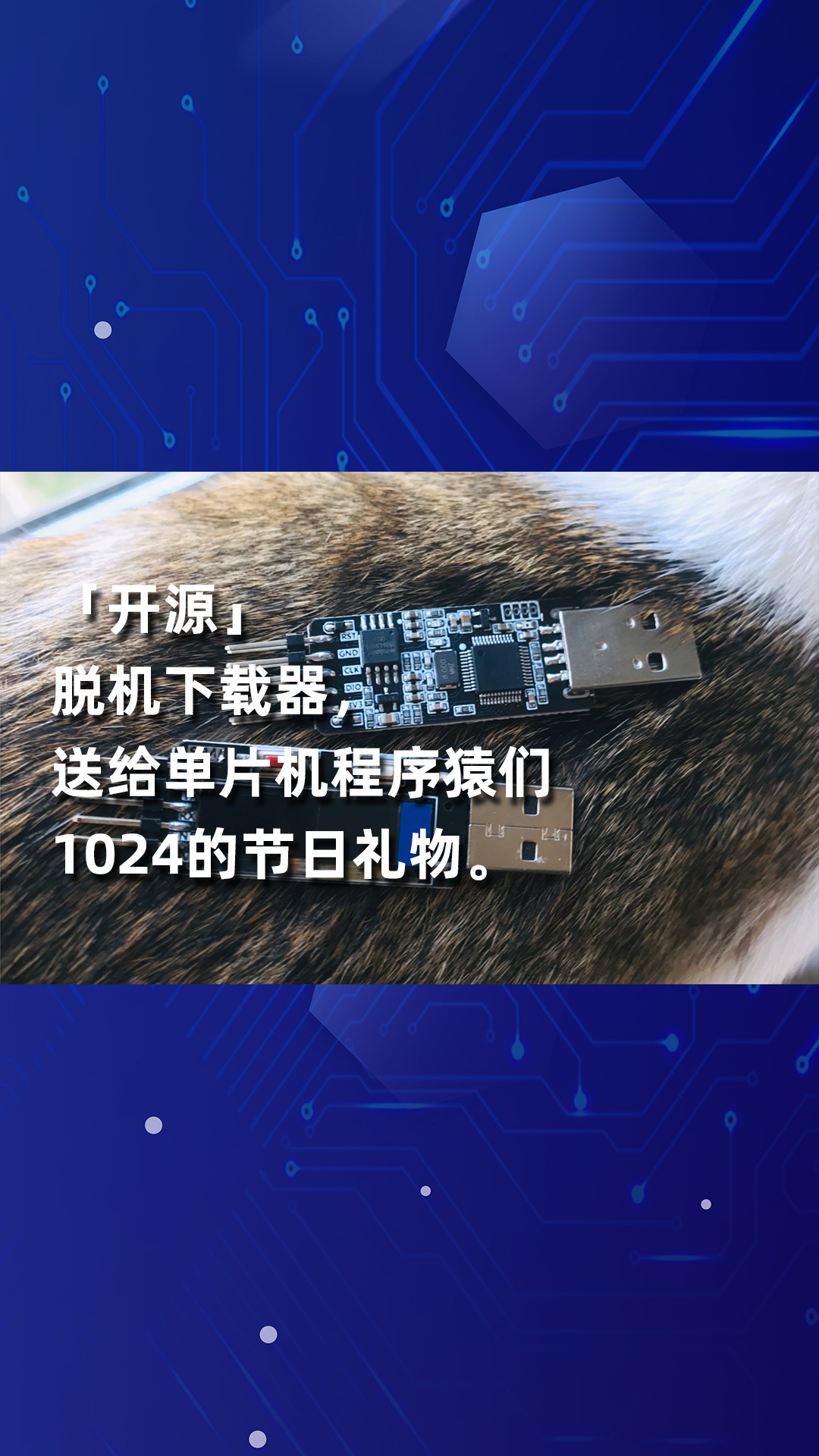 「開源」脫機下載器，送給單片機程序猿們1024的節(jié)日禮物。-1