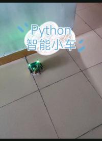 Python 智能小車