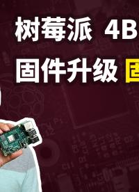 树莓派4B固件升级，固件损坏如何修复(Raspberry Pi 4B eeprom firmware)