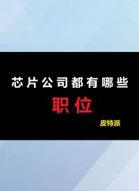 【皮特派】芯片公司都有哪些職位-2