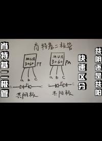 两种方法，教你快速区分肖特基二极管是共阴还是共阳 