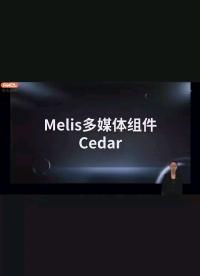 Melis多媒體組件Cedar③ #全志在線開發者學院 