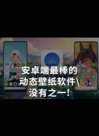 安卓端最棒的動態壁紙軟件,沒有之一!#跟著UP主一起創作吧 