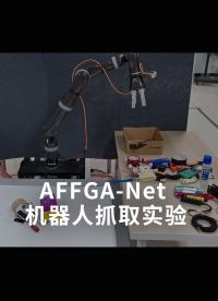 AFFGA-Net 机器人抓取实验