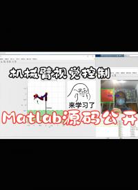 matlab機械臂視覺控制教程源碼公開