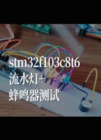 stm32f103c8t6流水灯➕蜂鸣器测试