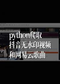 python爬取抖音无水印视频和网易云歌曲