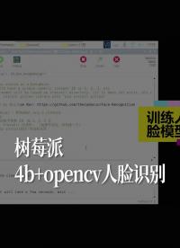 樹(shù)莓派4b+opencv人臉識(shí)別 #跟著UP主一起創(chuàng)作吧 