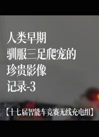 【十七屆智能車競賽無線充電組】人類早期馴服三足爬寵的珍貴影像記錄-3#花式調車指南 