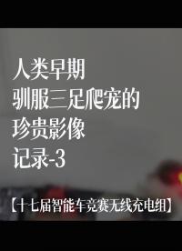 【十七届智能车竞赛无线充电组】人类早期驯服三足爬宠的珍贵影像记录-3#花式调车指南 