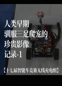 【十七屆智能車競賽無線充電組】人類早期馴服三足爬寵的珍貴影像記錄-1#花式調車指南 