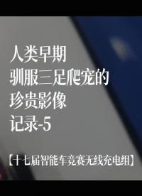 【十七届智能车竞赛无线充电组】人类早期驯服三足爬宠的珍贵影像记录-5#花式调车指南 