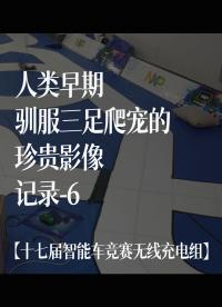 【十七届智能车竞赛无线充电组】人类早期驯服三足爬宠的珍贵影像记录-6#花式调车指南 