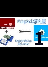 Funpack第九期-使用SensorTile.box接入Homeassistant - 1.盒子介紹+自定義