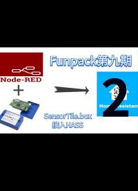 Funpack第九期-使用SensorTile.box接入Homeassistant - 2.盒子接入到nod