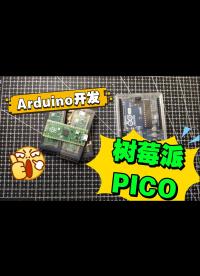 搭建Arduino ide开发树莓派pico 再也不吃灰了