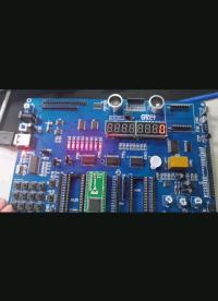 #RISC-V開發(fā)板評測 