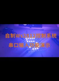 自制Ws2812控制系统串口输入功能演示.