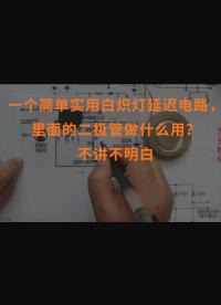 一個簡單實用白熾燈延遲電路，里面的二極管做什么用？不講不明白 