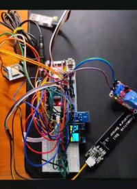 由stm32單片機，配合多個傳感器和繼電器搭建的花盆智能滴灌系統。從面包板到成品，成就感滿滿呀。
