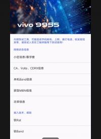 vivo iqoo 9955模式 鎖頻段 跳過未認(rèn)證窗口