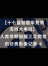 【十七届智能车竞赛无线充电组】人类早期驯服三足爬宠的珍贵影像记录-8