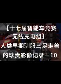 【十七届智能车竞赛无线充电组】人类早期驯服三足走兽的珍贵影像记录－10