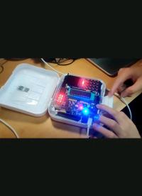 #RISC-V開發板評測 單片機