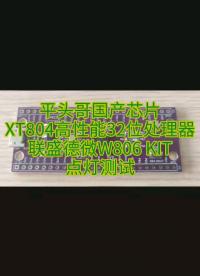 W806，聯(lián)盛德微，平頭哥，XT804，W806
