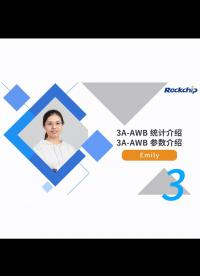 RK公開課】3A-AWB 參數(shù)介紹 統(tǒng)計(jì)介紹 - RKDC2021=3