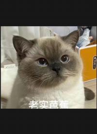 #硬聲新人計(jì)劃 拉絲的骨龍