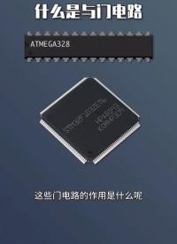 共同學(xué)習(xí)與門電路