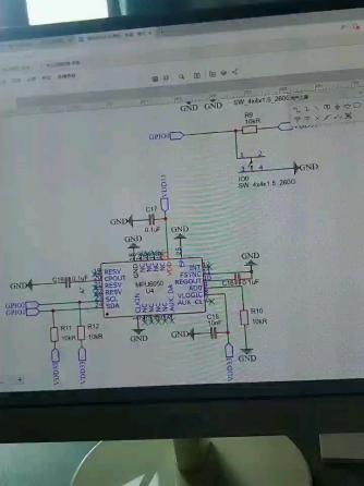 RISC-V,MPU6050