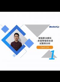 【RK公开课】增强算法模块-多级降噪综合调试案例分析 - RKDC2021 - 1