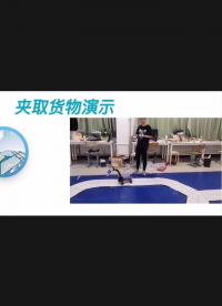 #硬聲新人計劃 基于體感手套的貨物搬運車  