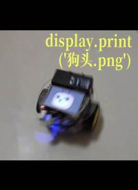 display-print('狗头-png')