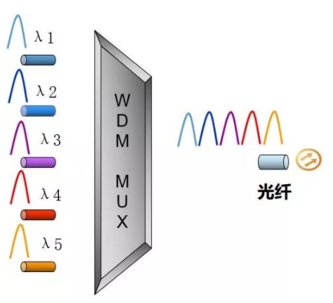 DWDM