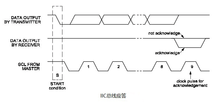 波形