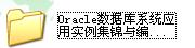 <b>Oracle</b><b>数据库系统</b>应用实例集锦与编程