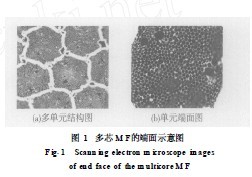 <b class='flag-5'>微結構</b>光纖中高效反Stokes波產(chǎn)生研究