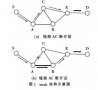 基于<b class='flag-5'>mesh</b><b class='flag-5'>网络</b>的多径<b class='flag-5'>路由</b><b class='flag-5'>协议</b>