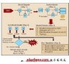 <b class='flag-5'>FPGA</b><b class='flag-5'>選擇</b>和系統(tǒng)設(shè)計(jì)架構(gòu)