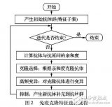 基于免疫克隆特征选择和US集成的二元分类器算法