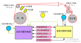 英威腾SL320-SL330<b class='flag-5'>系列</b>电子卷取(双)送经<b class='flag-5'>系统</b>操作说明