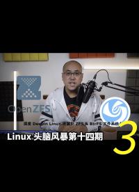 Linux 头脑风暴第十四期，ZFS的定制，并将深度系统安装到ZFS和Btrfs作为根目录的文件系统之上3