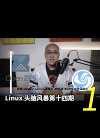 Linux 頭腦風暴第十四期，ZFS的定制，并將深度系統安裝到ZFS和Btrfs作為根目錄的文件系統之上1