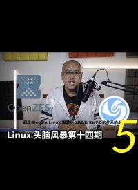 Linux 頭腦風暴第十四期，ZFS的定制，并將深度系統安裝到ZFS和Btrfs作為根目錄的文件系統之上5