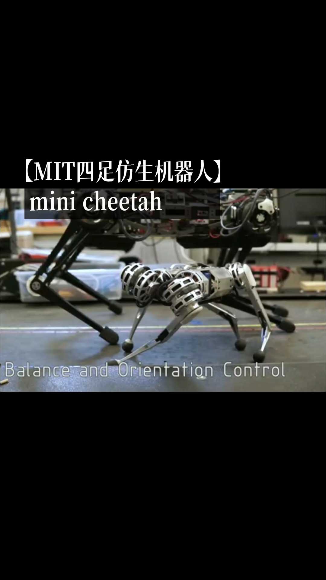 【MIT四足仿生机器人】 mini cheetahjiqi#机器人 