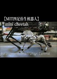 【MIT四足仿生机器人】 mini cheetahjiqi#机器人 