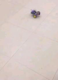 esp8266小車